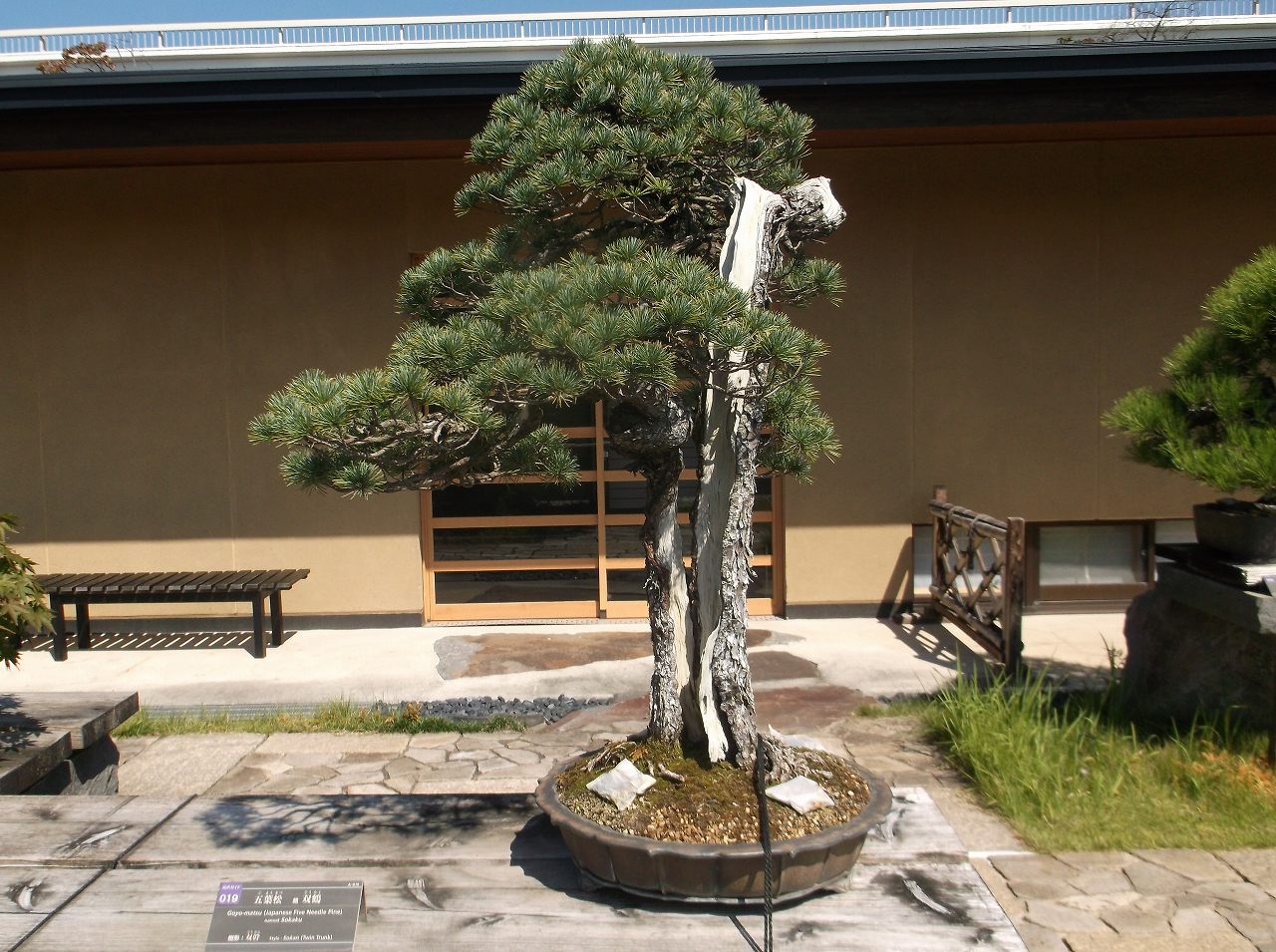 11