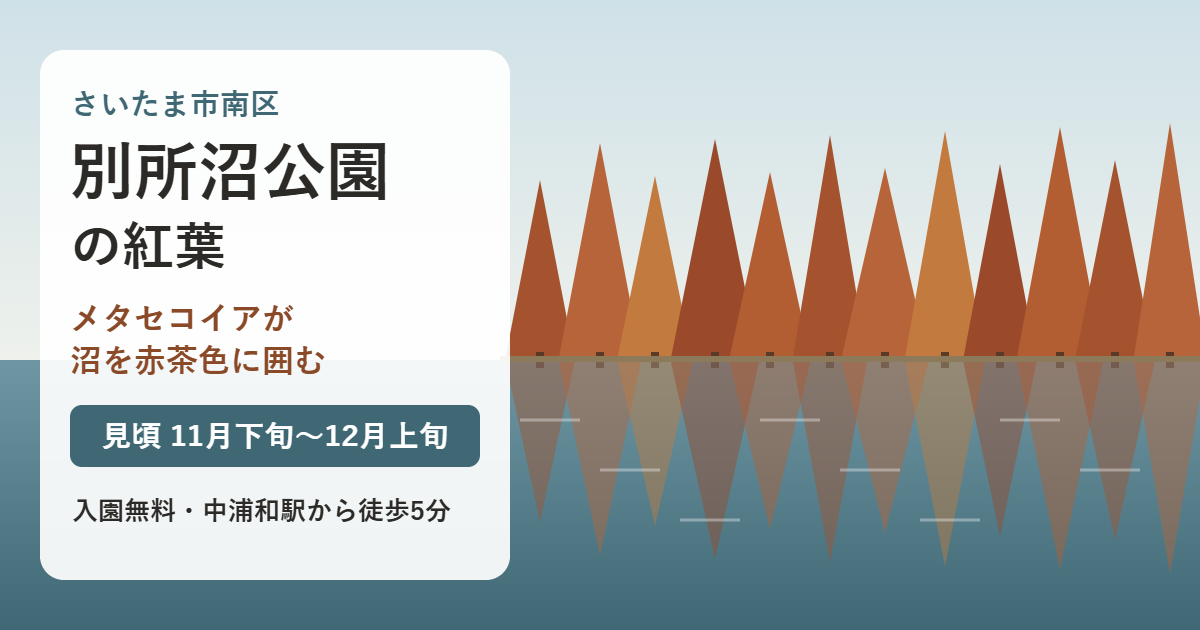 さいたま市南区の別所沼公園の紅葉。メタセコイアが沼を赤茶色に囲み、見頃は11月下旬〜12月上旬。入園無料、中浦和駅から徒歩5分