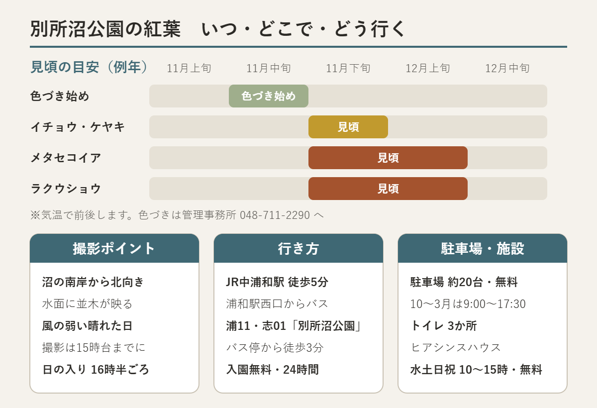 別所沼公園の紅葉の要点。見頃の目安（例年）は、色づき始めが11月中旬、イチョウ・ケヤキが11月下旬、メタセコイアとラクウショウが11月下旬〜12月上旬。撮影ポイントは沼の南岸から対岸の並木が水面に映る景色、風の弱い晴れた日、11月下旬の日の入りは16時半ごろ。行き方はJR中浦和駅から徒歩5分、浦和駅西口から国際興業バス浦11・志01で別所沼公園下車徒歩3分、入園無料で24時間。駐車場は約20台で無料、10月〜3月は9時〜17時30分。トイレ3か所。ヒアシンスハウスは水・土・日・祝の10時〜15時に無料公開