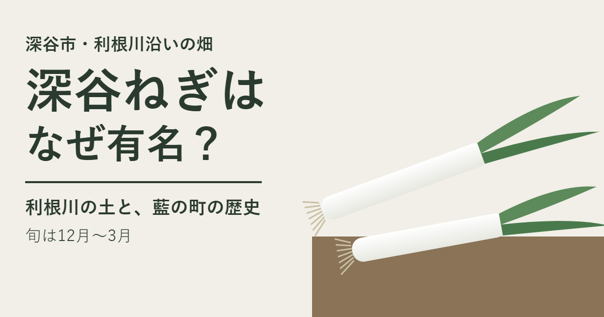 白い部分が長いねぎ2本が畑の上に横たわるイラストと「深谷ねぎはなぜ有名？」の文字