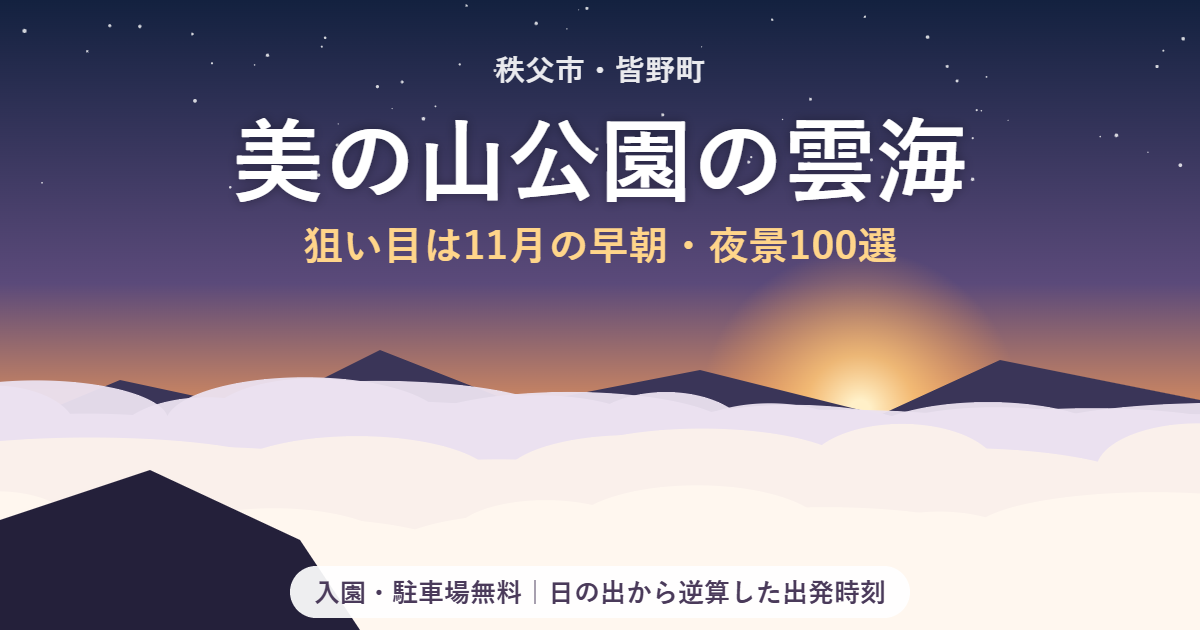 美の山公園の雲海と夜景