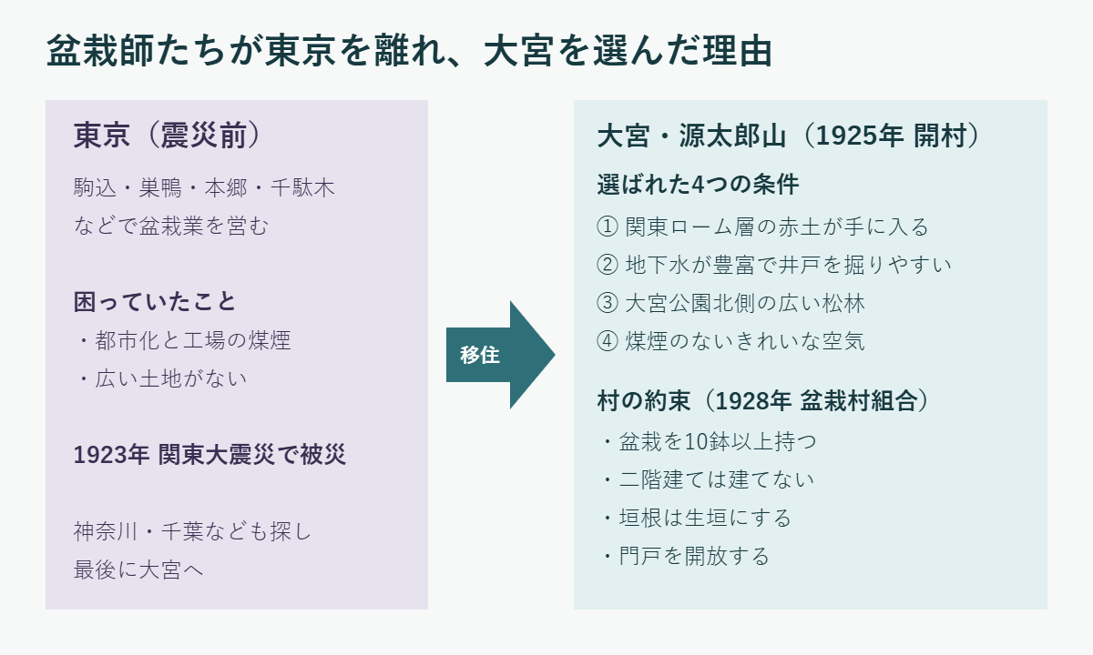 東京の駒込・巣鴨・本郷・千駄木の盆栽業者が煤煙と関東大震災を機に移住し、赤土と地下水を決め手に、広い松林ときれいな空気もそろう大宮の源太郎山を選んだこと、1928年の盆栽村組合の4つの約束をまとめた図