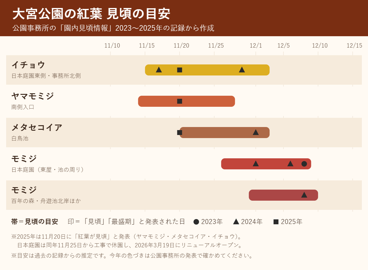 大宮公園の紅葉の見頃の目安。イチョウは11月中旬から12月上旬、南側入口のヤマモミジは11月中旬から下旬、白鳥池のメタセコイアは11月下旬から12月上旬、日本庭園のモミジは11月下旬から12月上旬が目安