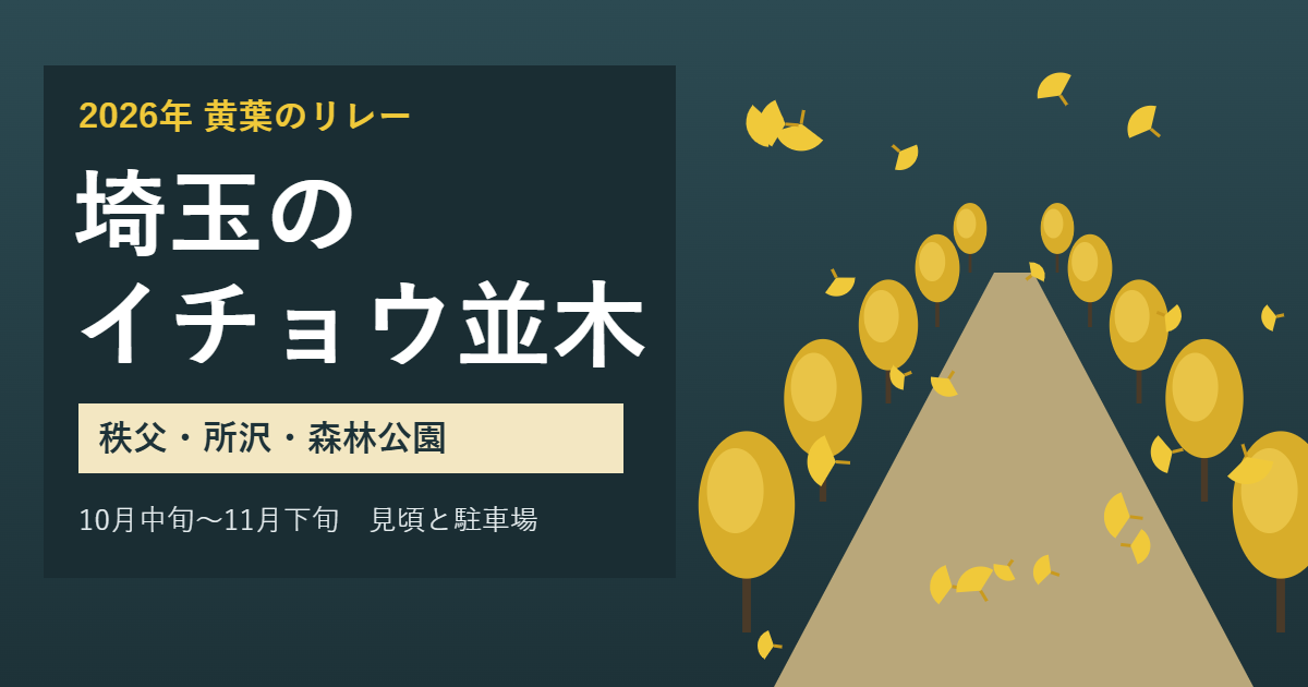 黄色いイチョウの並木道と舞う葉のイラストに「埼玉のイチョウ並木 秩父・所沢・森林公園 10月中旬〜11月下旬 見頃と駐車場」の文字