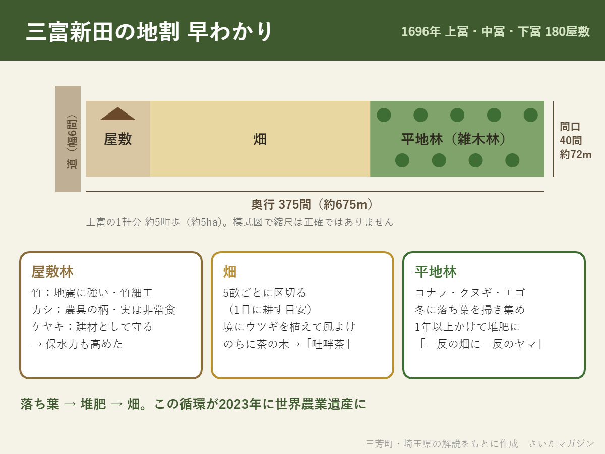 三富新田の地割の模式図。幅6間の道に面して、手前から屋敷、畑、平地林(雑木林)が細長く続き、上富の1軒分は間口40間(約72m)×奥行375間(約675m)、約5ha。屋敷林の竹・カシ・ケヤキ、5畝ごとの畑と畦畔茶、コナラ・クヌギ・エゴの平地林の役割と、落ち葉を堆肥にして畑に入れる循環。