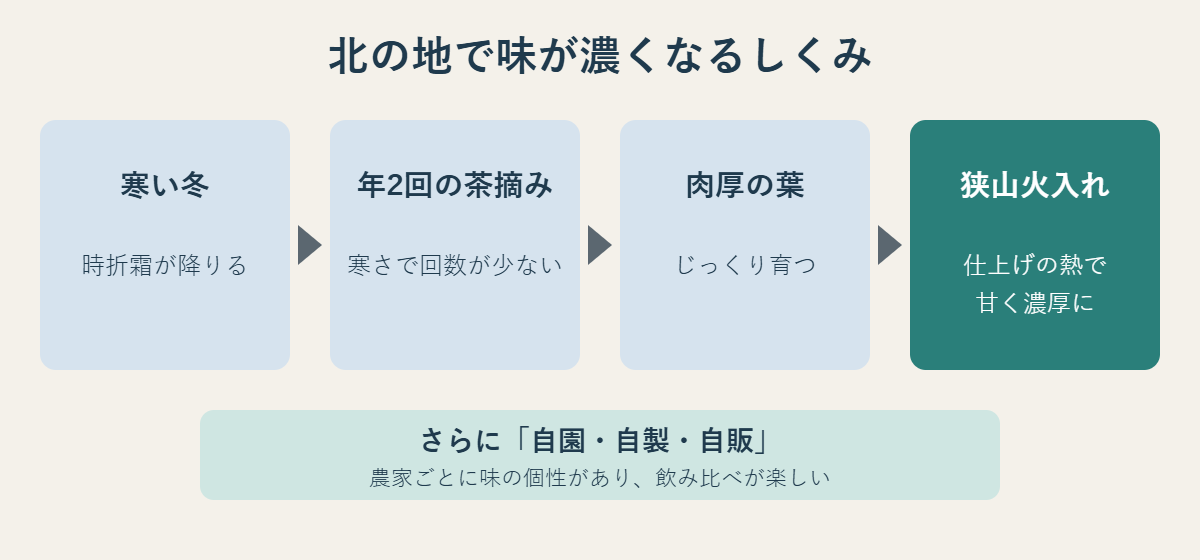 寒い冬、年2回の茶摘み、肉厚の葉、狭山火入れという流れと、自園・自製・自販の特徴をまとめた図