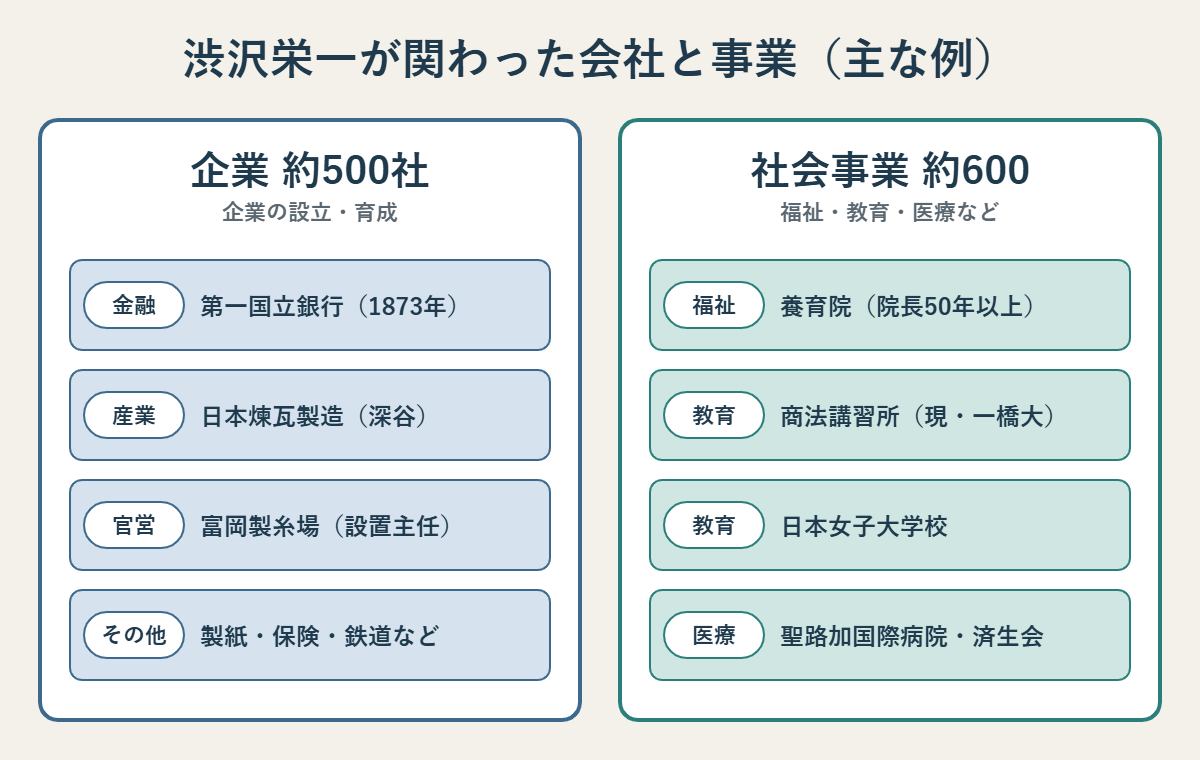 渋沢栄一が関わった主な会社と事業。企業約500社:第一国立銀行、日本煉瓦製造、富岡製糸場の設置主任、製紙・保険・鉄道など。社会事業約600:養育院(院長50年以上)、商法講習所(現・一橋大)、日本女子大学校、聖路加国際病院・済生会