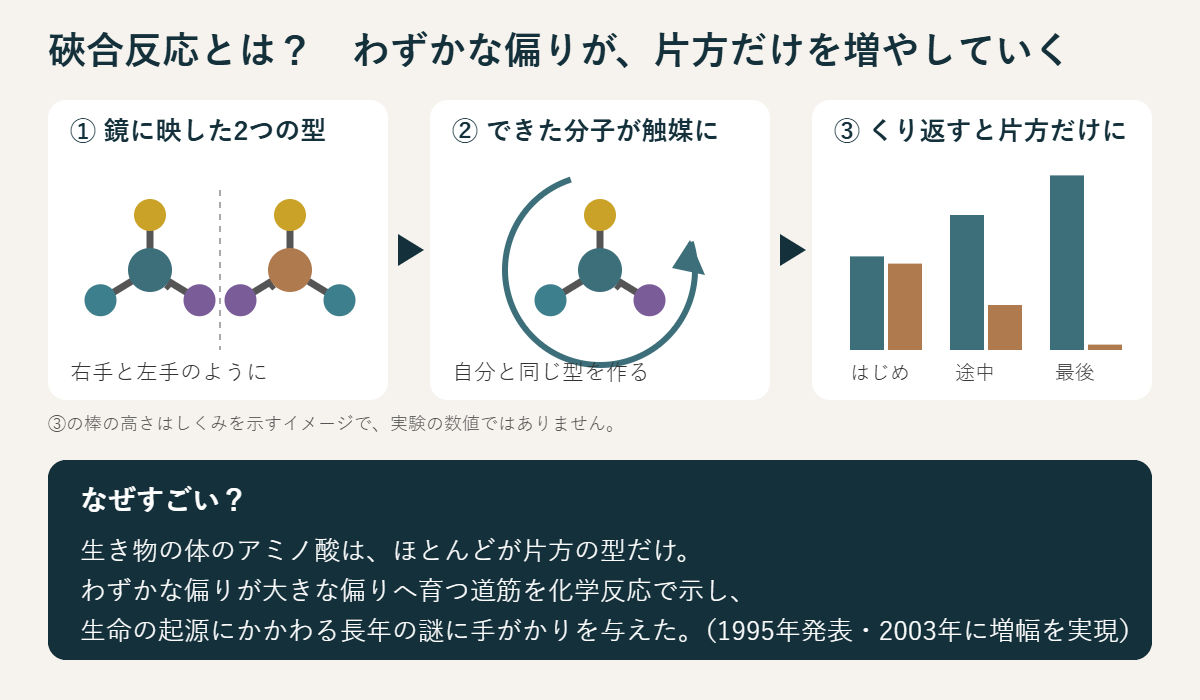 硤合反応のしくみを図解。右手型と左手型の鏡像の分子のうち、わずかに多い方が自分と同じ型の分子を作る触媒になり、反応を繰り返すうちに片方の型だけが大きく増えていく。
