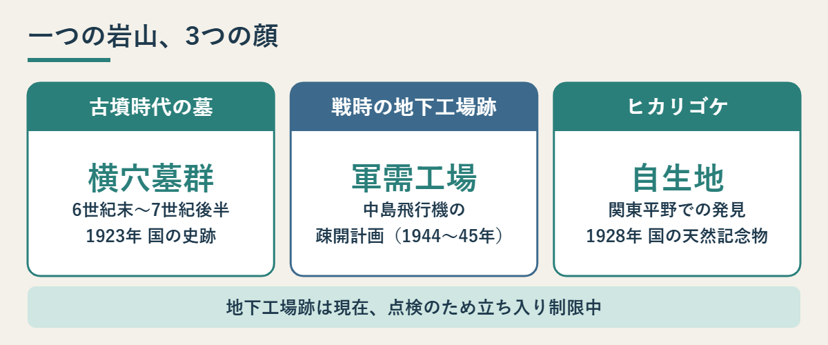 古墳時代の墓、戦時の地下工場跡、ヒカリゴケ自生地という吉見百穴の3つの顔を示した図